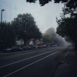 久草免费福利资源站在线观看
