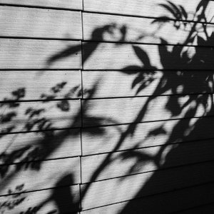 久草免费福利资源站在线观看
